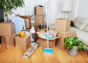 Read more about the article Mastering the Art of Move Out Cleaning in Brisbane : Your Complete Guide