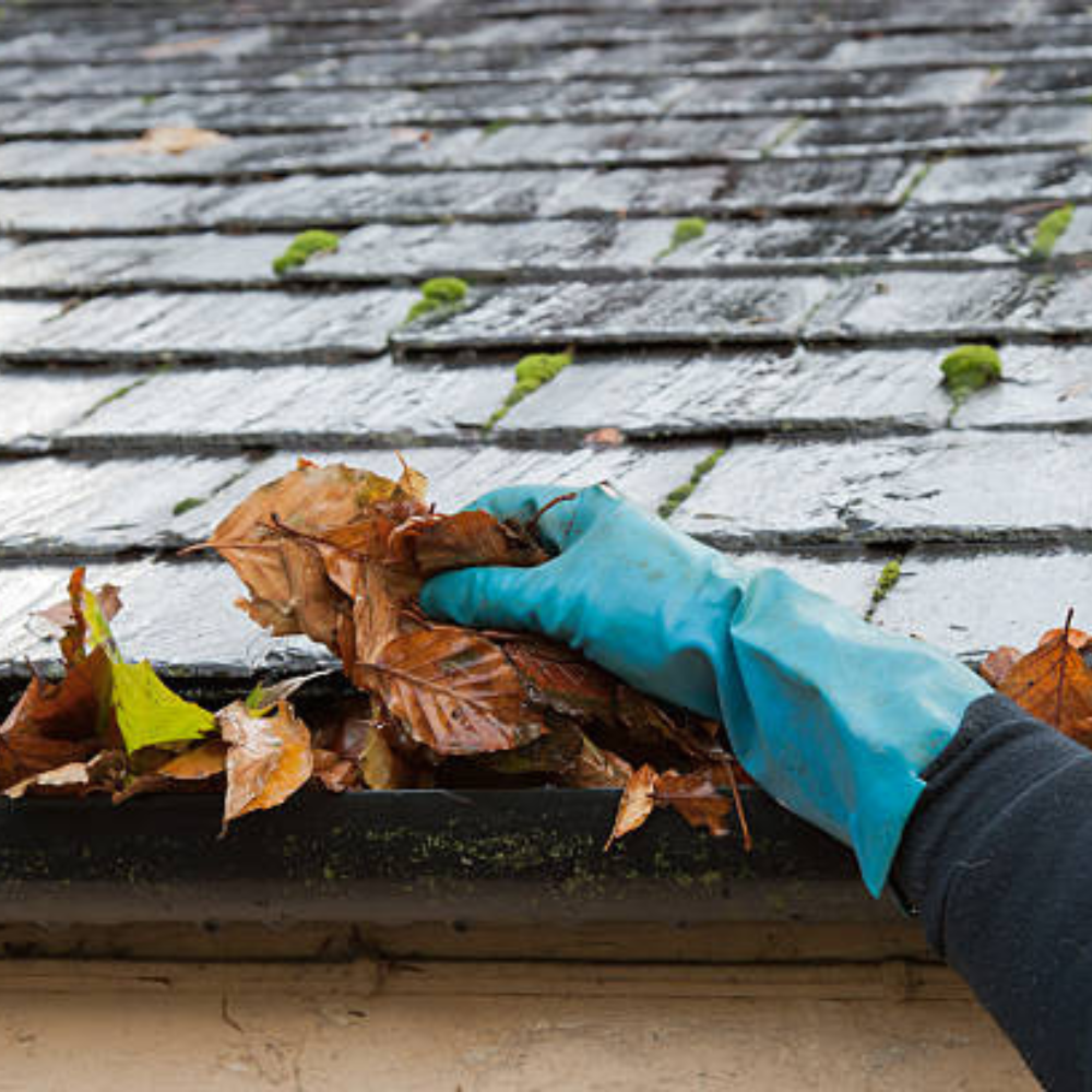 Read more about the article Bellingham Gutter Cleaning Tips for Maintaining Your Home’s Gutters