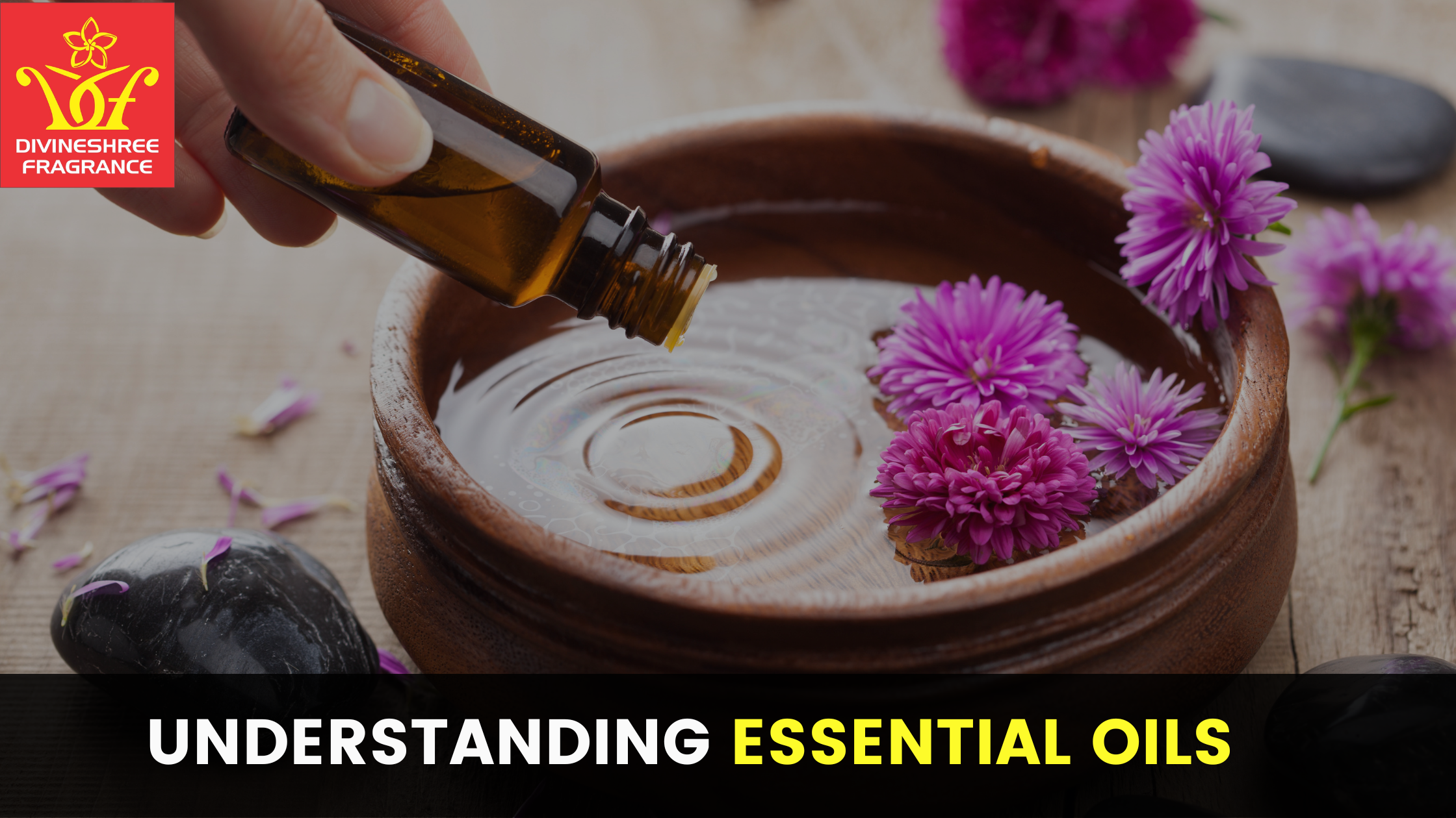Read more about the article Understanding Essential Oils