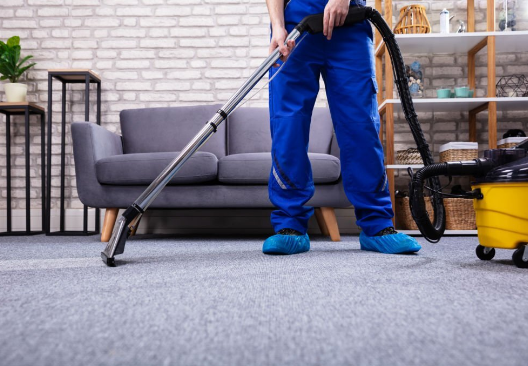 You are currently viewing Providing Excellence: Introducing Brisbane’s Best Carpet Cleaning Services