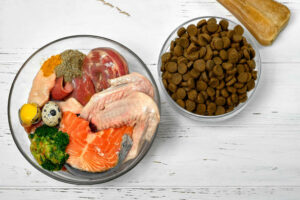 Read more about the article Unveiling the Benefits of Raw Dog Food in Florida: A Comprehensive Guide