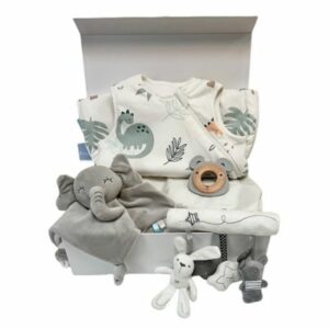Read more about the article The Ultimate Guide to Baby Hamper: Providing Online Convenience in West Kingsdown, UK